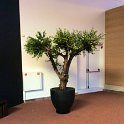 IMG_0088