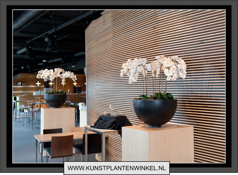 orchidee_wit_in_zwarte_decozuil_3