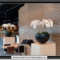 orchidee_wit_in_zwarte_decozuil_3