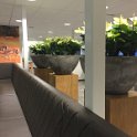 IMG_3494