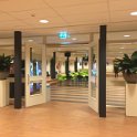 IMG_3498